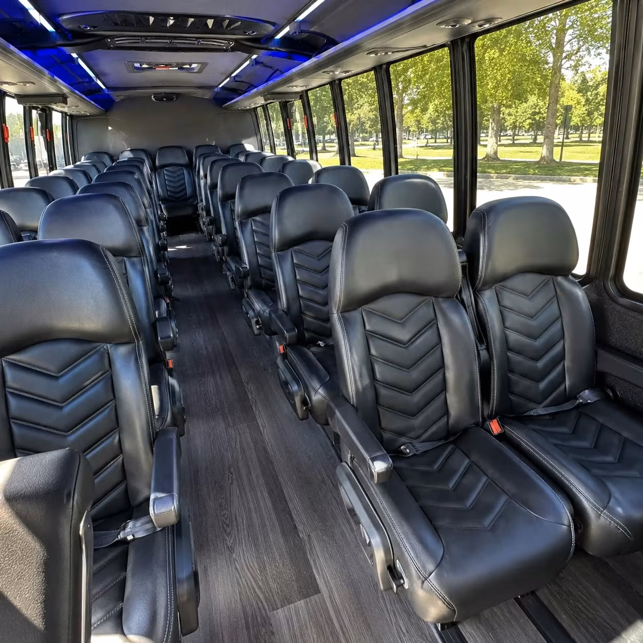 school field trip bus rentals in richmond